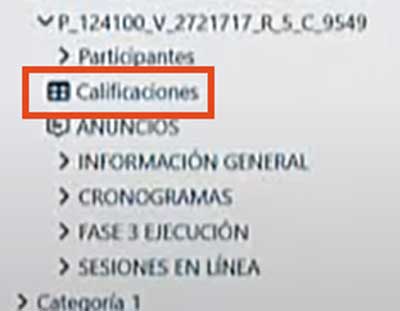 CONSULTAR CALIFICACIONES ZAJUNA