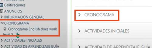 SECCION CRONOGRAMA ZAJUNA